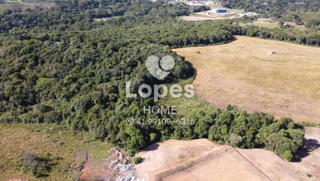 TERRENO no Bairro: Canguiri - Lopes Home - Colombo - foto 5