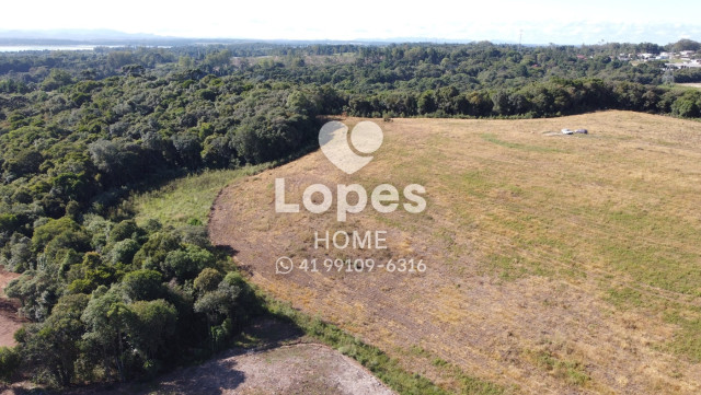 TERRENO no Bairro: Canguiri - Lopes Home - Colombo - foto 3