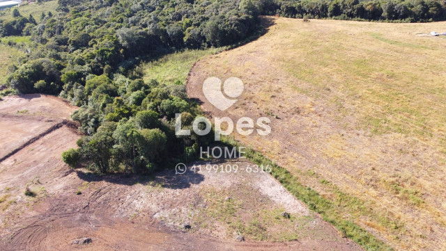 TERRENO no Bairro: Canguiri - Lopes Home - Colombo - foto 4