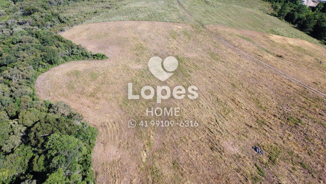 TERRENO no Bairro: Canguiri - Lopes Home - Colombo - foto 9