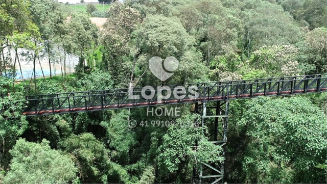 TERRENO EM CONDOMÍNIO no Bairro: Jardim Cecília - Lopes Home - Campo Magro - foto 15