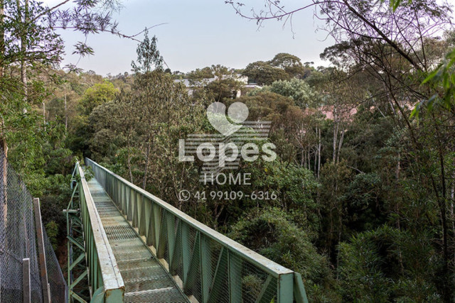 TERRENO EM CONDOMÍNIO no Bairro: Jardim Cecília - Lopes Home - Campo Magro - foto 13