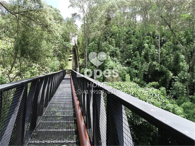 TERRENO EM CONDOMÍNIO no Bairro: Jardim Cecília - Lopes Home - Campo Magro - foto 14