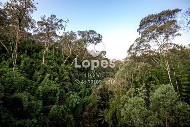 TERRENO EM CONDOMÍNIO no Bairro: Jardim Cecília - Lopes Home - Campo Magro - foto 20