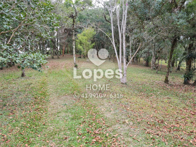 TERRENO no Bairro: Vila Fuck - Lopes Home - Piraquara - foto 12