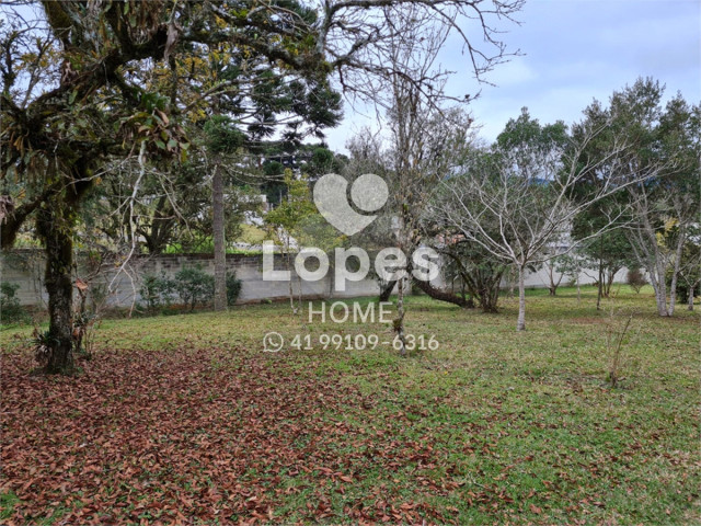 TERRENO no Bairro: Vila Fuck - Lopes Home - Piraquara - foto 13