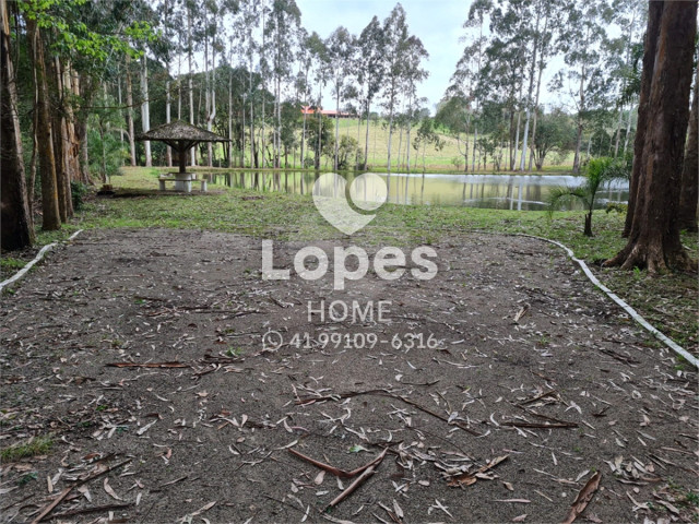 TERRENO no Bairro: Vila Fuck - Lopes Home - Piraquara - foto 8