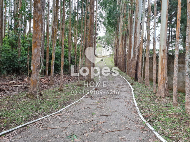 TERRENO no Bairro: Vila Fuck - Lopes Home - Piraquara - foto 7