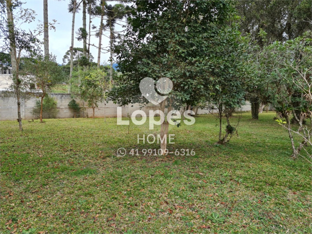 TERRENO no Bairro: Vila Fuck - Lopes Home - Piraquara - foto 14