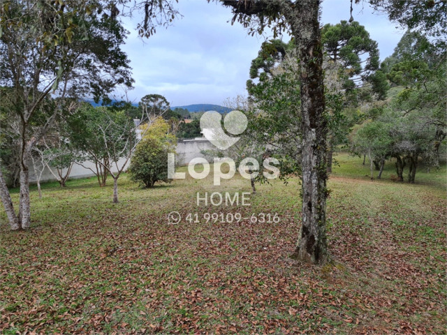 TERRENO no Bairro: Vila Fuck - Lopes Home - Piraquara - foto 15