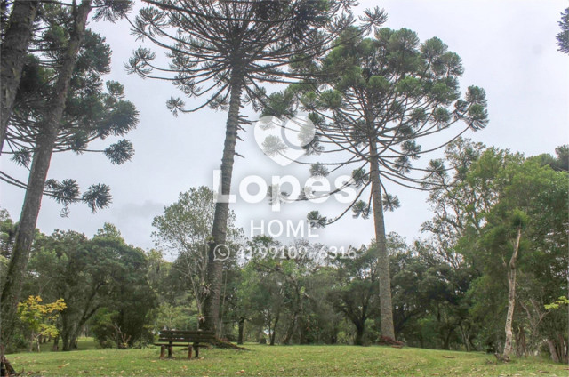 TERRENO no Bairro: Vila Fuck - Lopes Home - Piraquara - foto 16