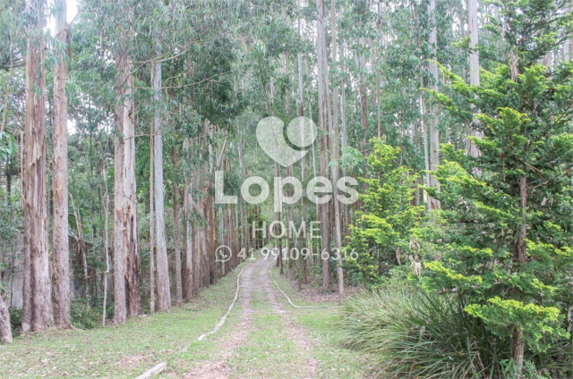 TERRENO no Bairro: Vila Fuck - Lopes Home - Piraquara - foto 10