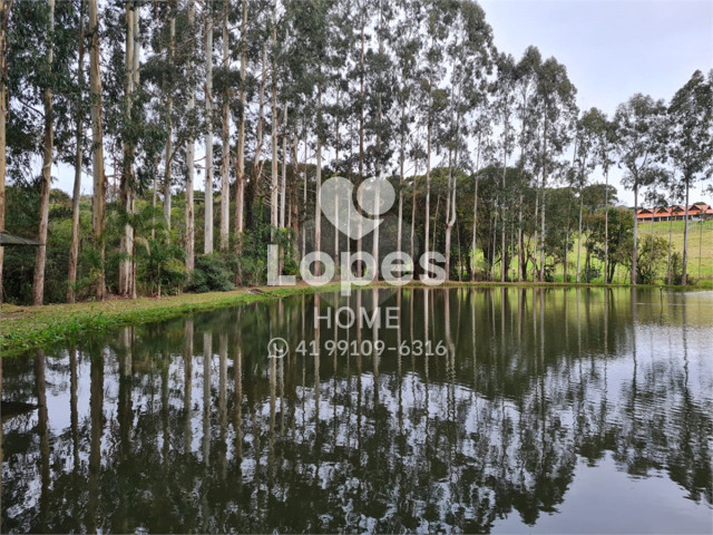 TERRENO no Bairro: Vila Fuck - Lopes Home - Piraquara - foto 9