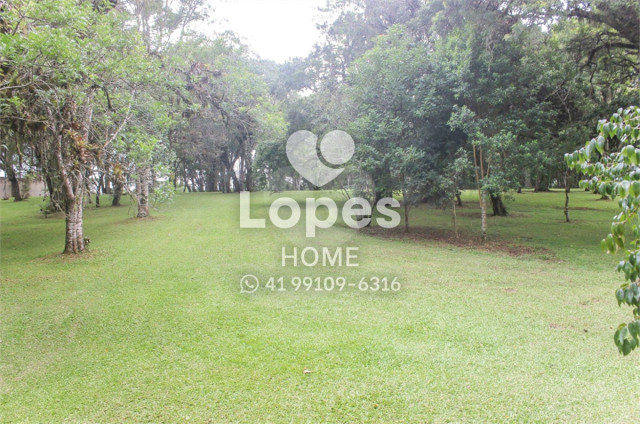 TERRENO no Bairro: Vila Fuck - Lopes Home - Piraquara - foto 6