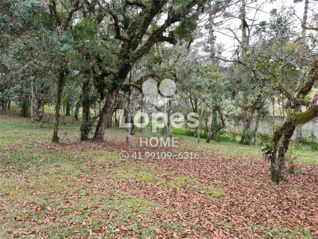 TERRENO no Bairro: Vila Fuck - Lopes Home - Piraquara - foto 17