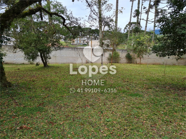 TERRENO no Bairro: Vila Fuck - Lopes Home - Piraquara - foto 18