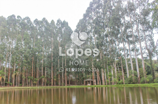 TERRENO no Bairro: Vila Fuck - Lopes Home - Piraquara - foto 1