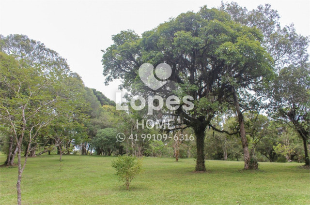 TERRENO no Bairro: Vila Fuck - Lopes Home - Piraquara - foto 19