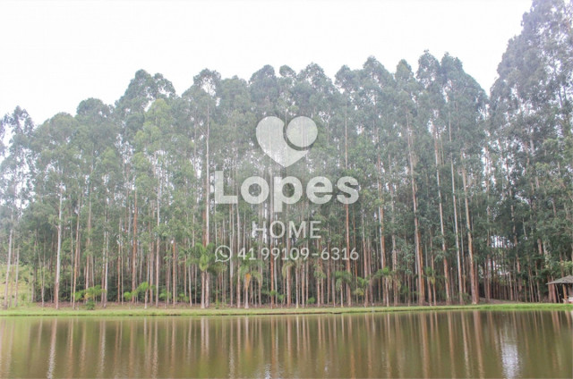 TERRENO no Bairro: Vila Fuck - Lopes Home - Piraquara - foto 11