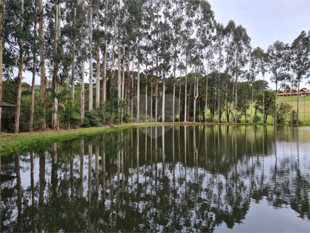 TERRENO no Bairro: Vila Fuck - Lopes Home - Piraquara - foto 0