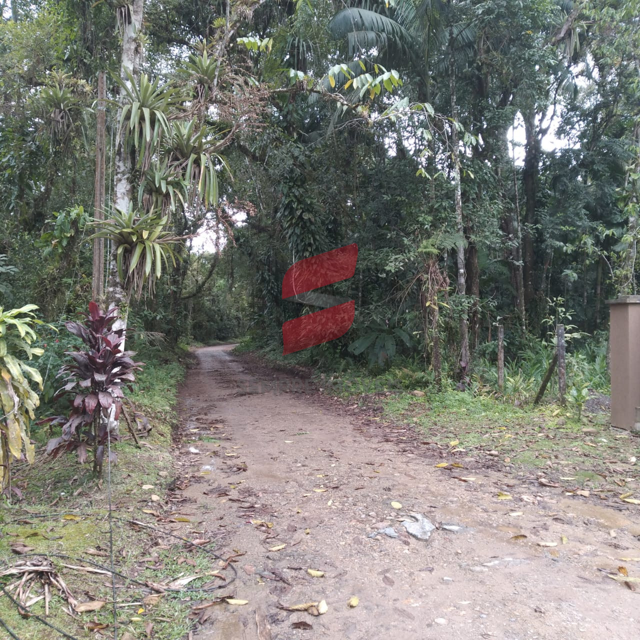 CHÁCARA com 2 dormitórios à venda com 16000m² por R$ 320.000,00 no bairro Rio do Nunes - ANTONINA / PR