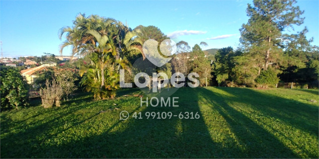 TERRENO no Bairro:  - Lopes Home - Criciuma - foto 4