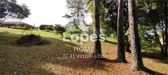 TERRENO no Bairro:  - Lopes Home - Criciuma - foto 6