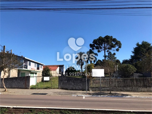 TERRENO no Bairro: Centro - Lopes Home - Araucária - foto 12