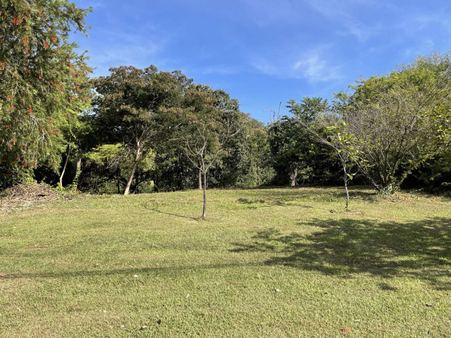 TERRENO no Bairro:  - Lopes Home - Almirante Tamandare - foto 4