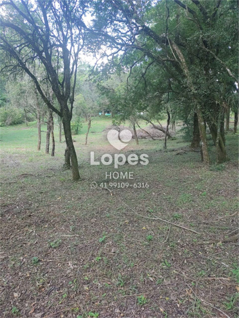 TERRENO no Bairro:  - Lopes Home - Almirante Tamandare - foto 1