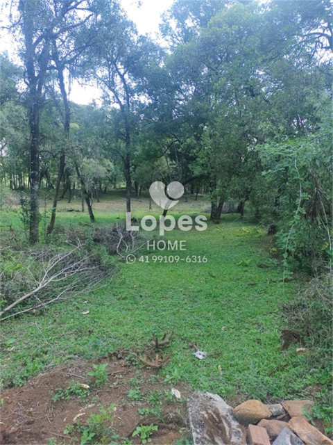 TERRENO no Bairro:  - Lopes Home - Almirante Tamandare - foto 6