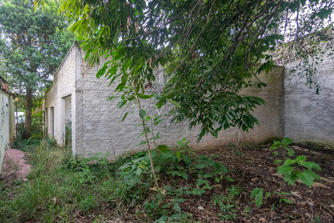 Foto 5 - TERRENO em CURITIBA - PR, no bairro Mercês - Referência VI-VT-TERRENOFREDERICO