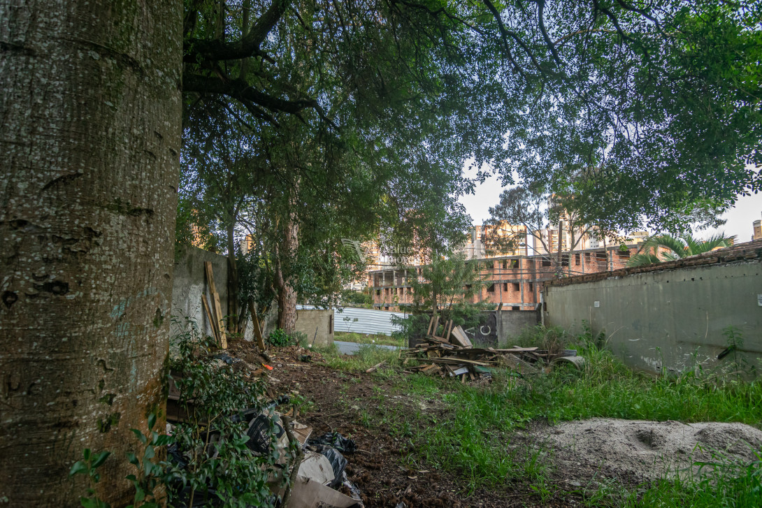 Foto 7 - TERRENO em CURITIBA - PR, no bairro Mercês - Referência VI-VT-TERRENOFREDERICO