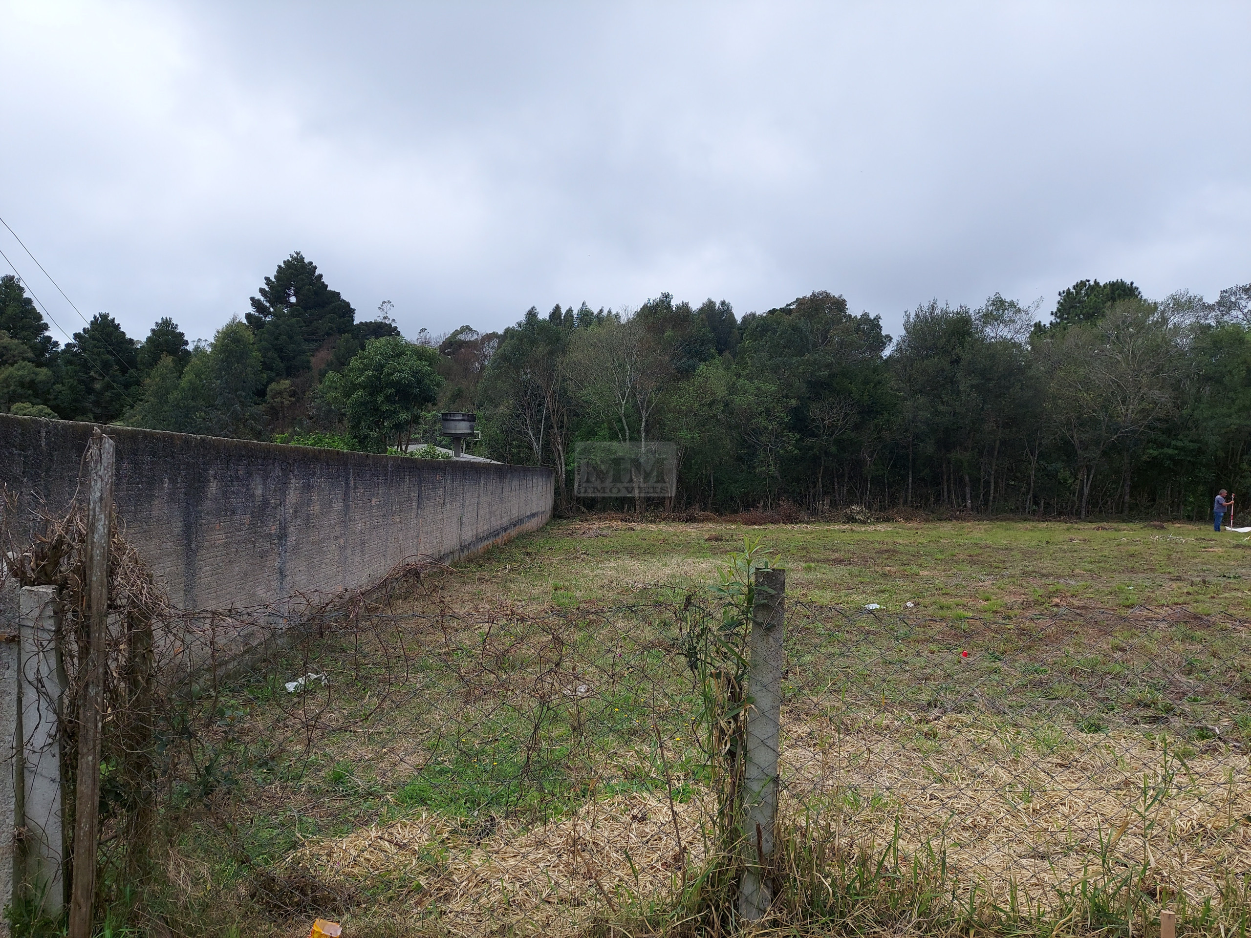 Lote 1