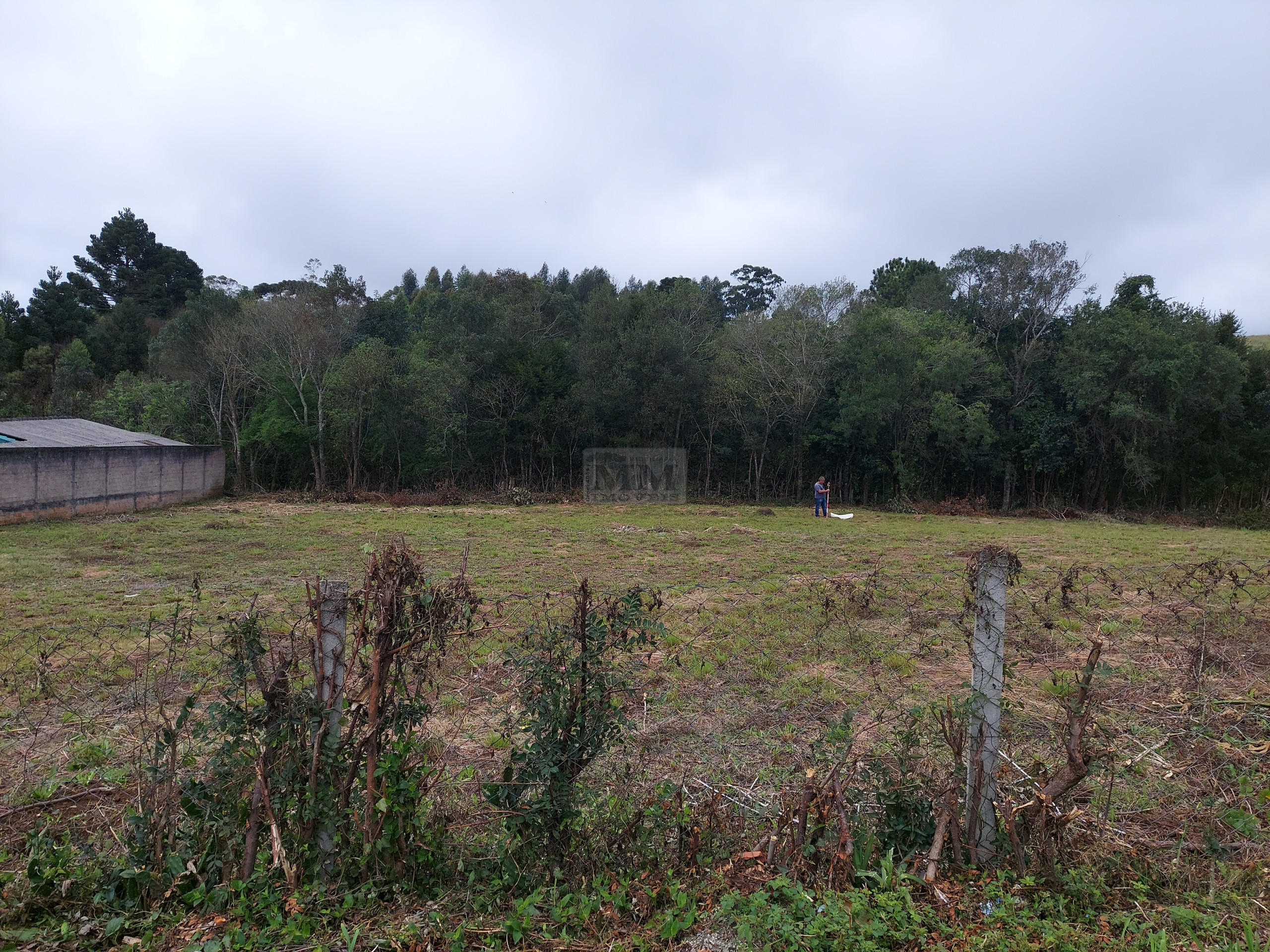 Lote 4