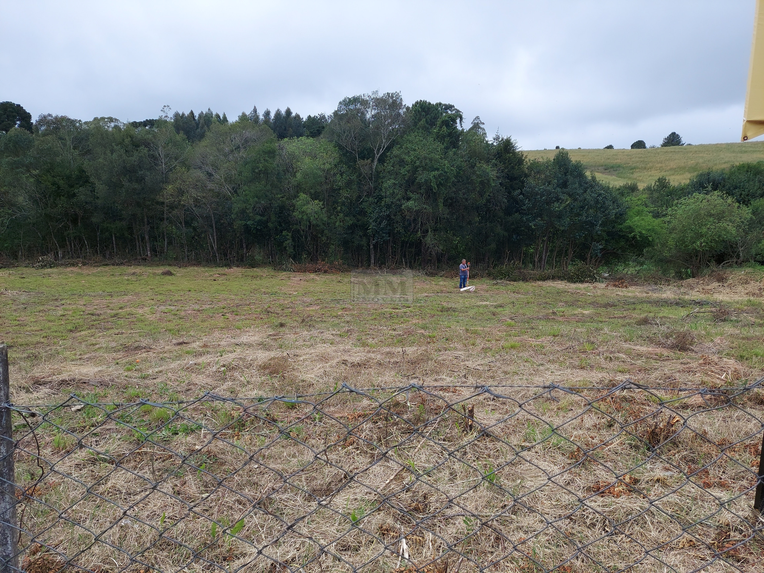 Lote 8