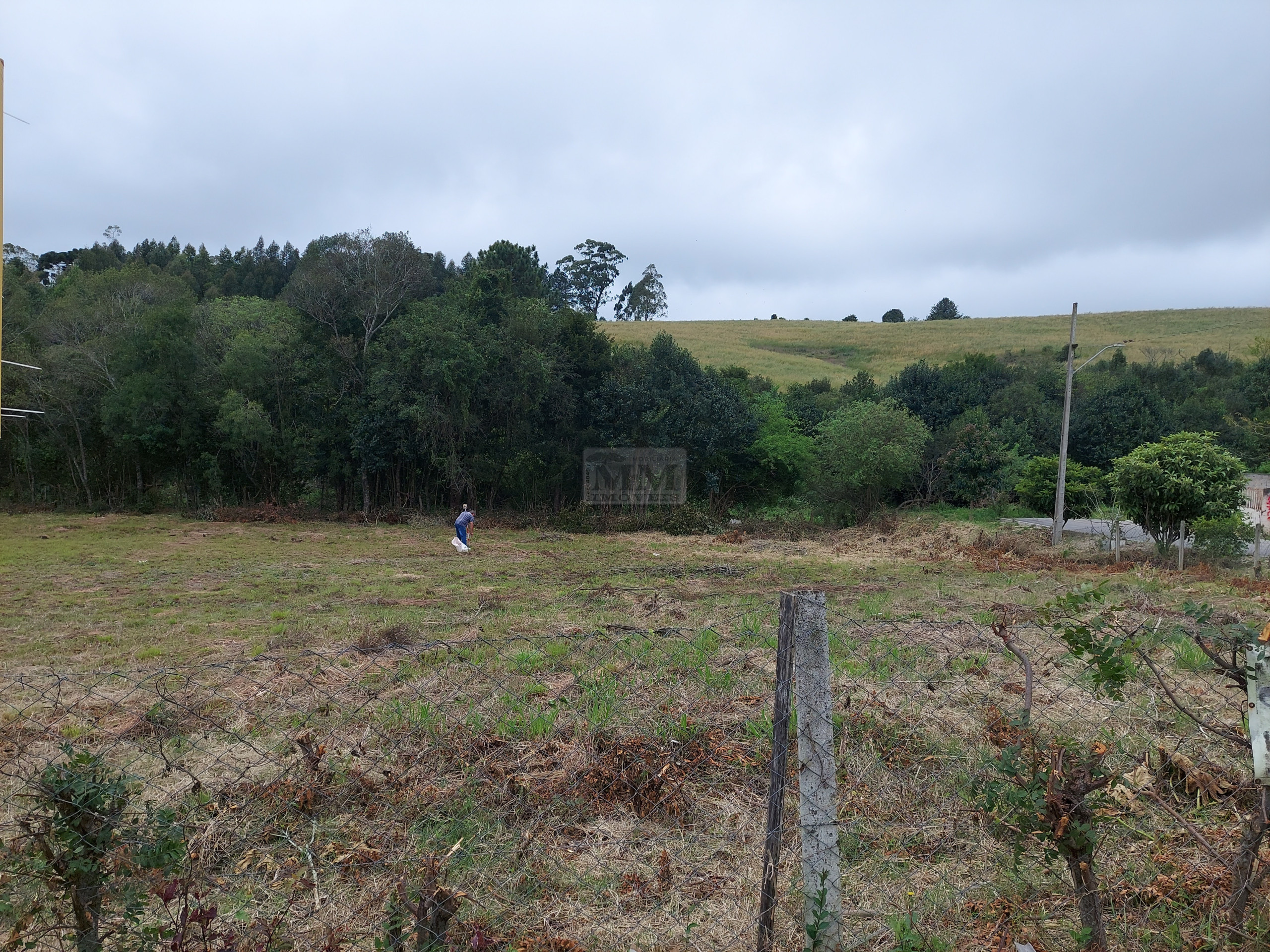Lote 9