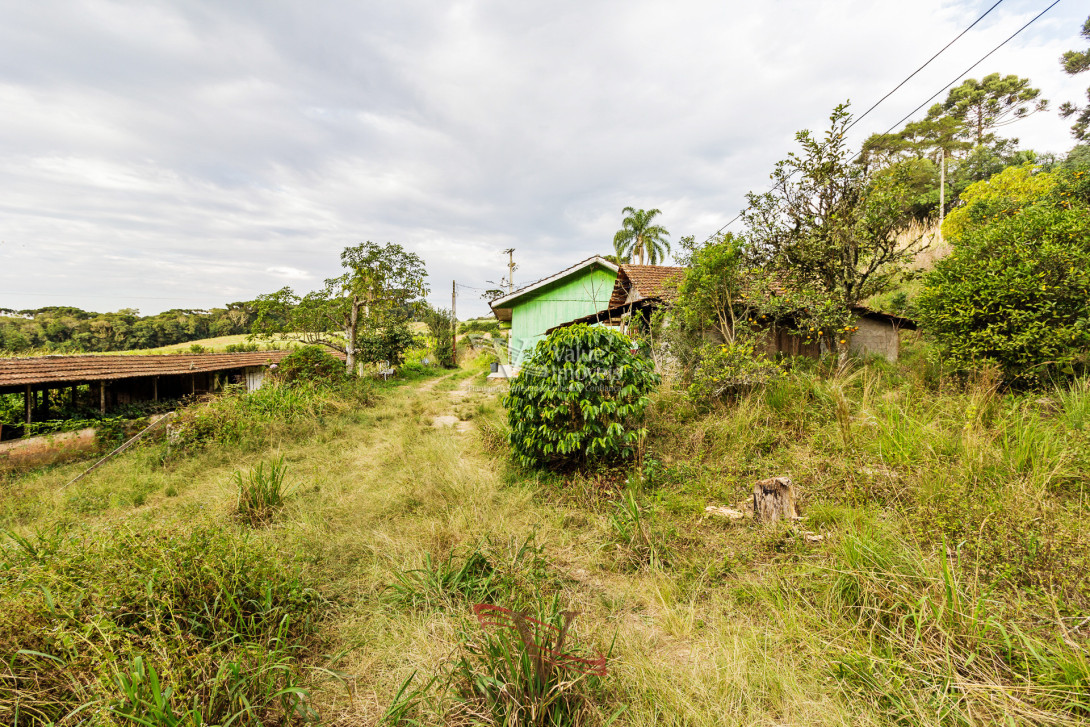 Foto 18 - CHÁCARA em ARAUCÁRIA - PR, no bairro Palmital - Referência VI-VC-CHACARAARAUCARIA