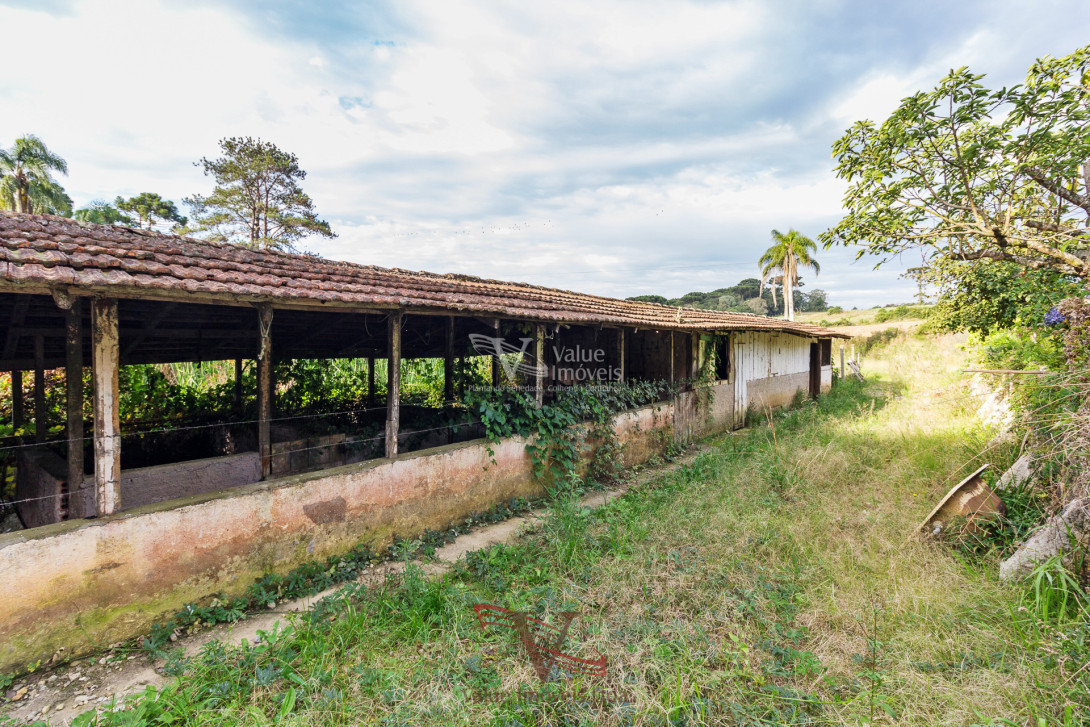 Foto 20 - CHÁCARA em ARAUCÁRIA - PR, no bairro Palmital - Referência VI-VC-CHACARAARAUCARIA