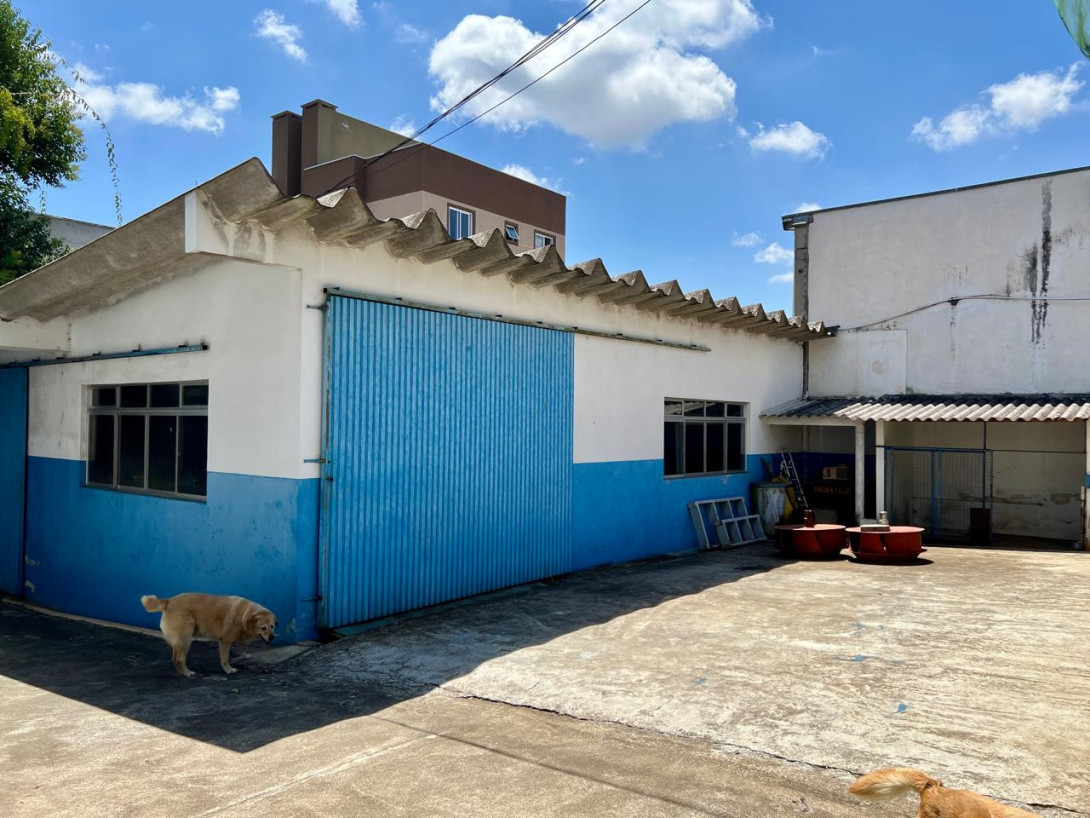 Foto 13 - BARRACÃO/GALPÃO em SÃO JOSÉ DOS PINHAIS - PR, no bairro Iná - Referência 0318