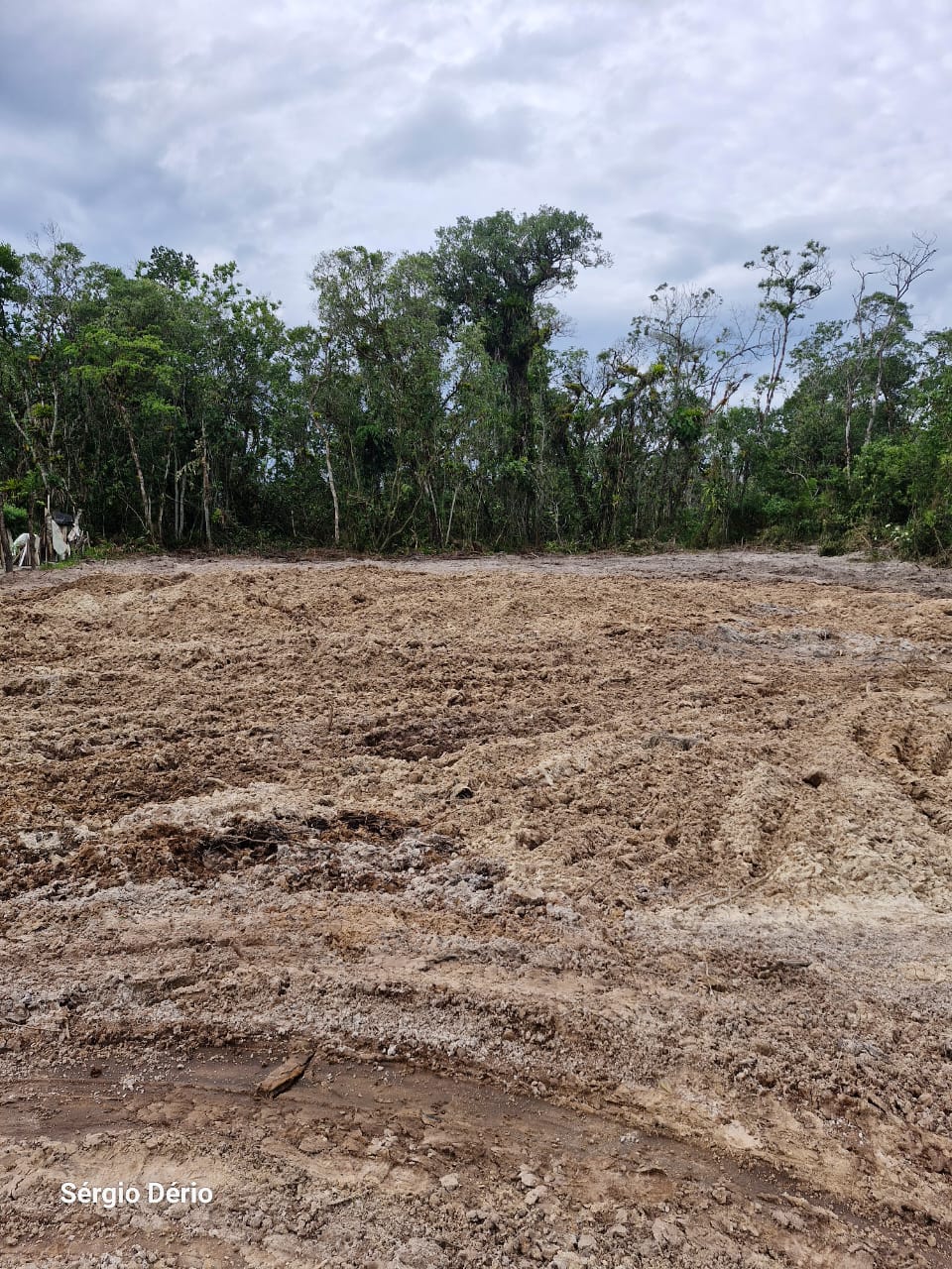 Terreno em Balneário Praia Grande — foto 4