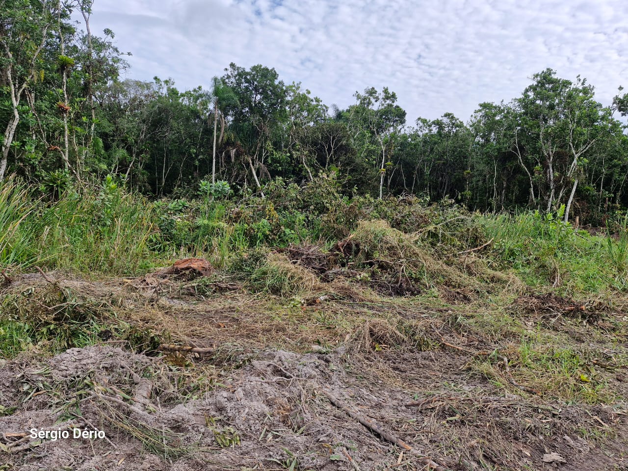 Terreno em Balneário Praia Grande — foto 3