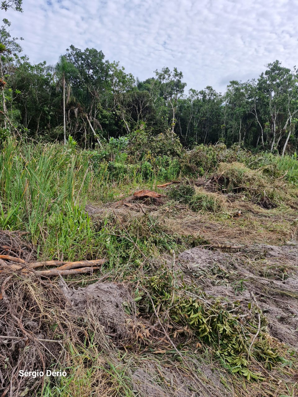 Terreno em Balneário Praia Grande — foto 2