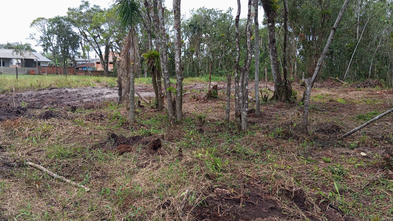Terreno em Balneário Praia Grande