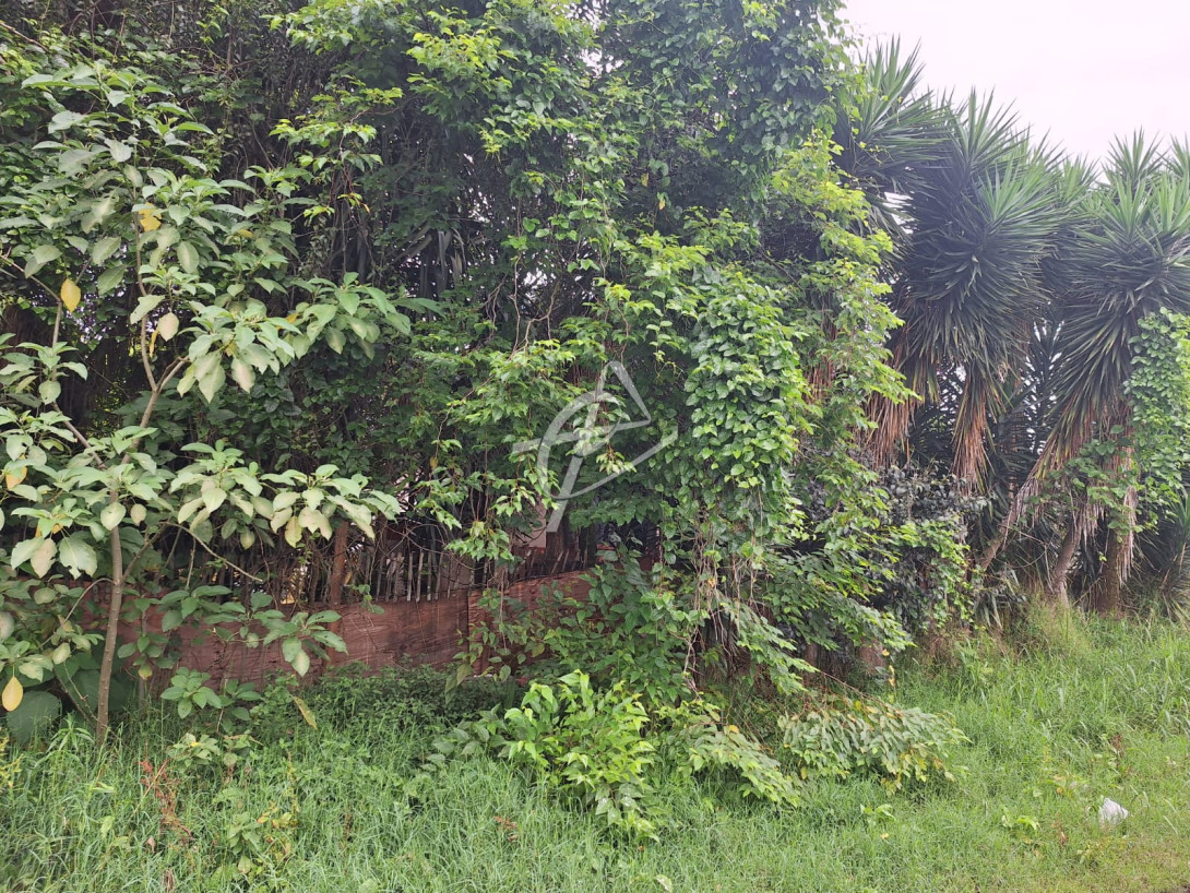 Foto 6 - ÁREA em CURITIBA - PR, no bairro Boa Vista - Referência 0344