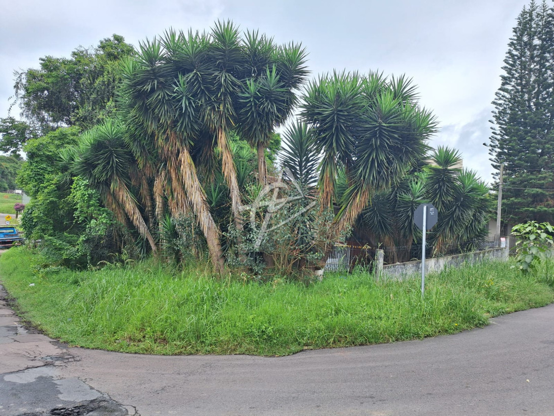 Foto 8 - ÁREA em CURITIBA - PR, no bairro Boa Vista - Referência 0344