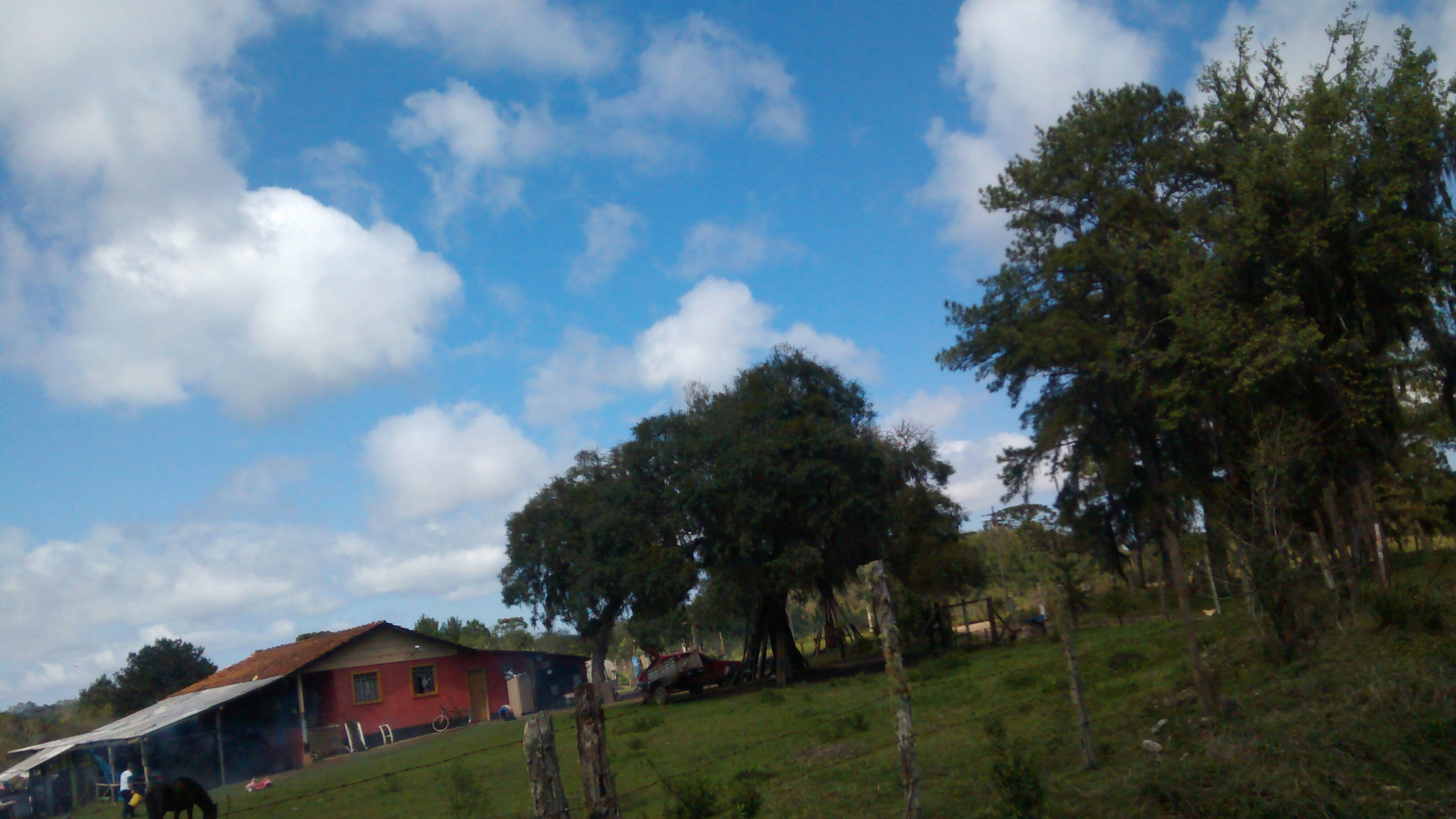 CHÁCARA/FAZENDA/SÍTIO em QUATRO BARRAS PR, no bairro Borda do Campo Referência MCH0025 CHÁCARA/FAZENDA/SÍTIO em QUATRO BARRAS PR, no bairro Borda do Campo Referência MCH0025