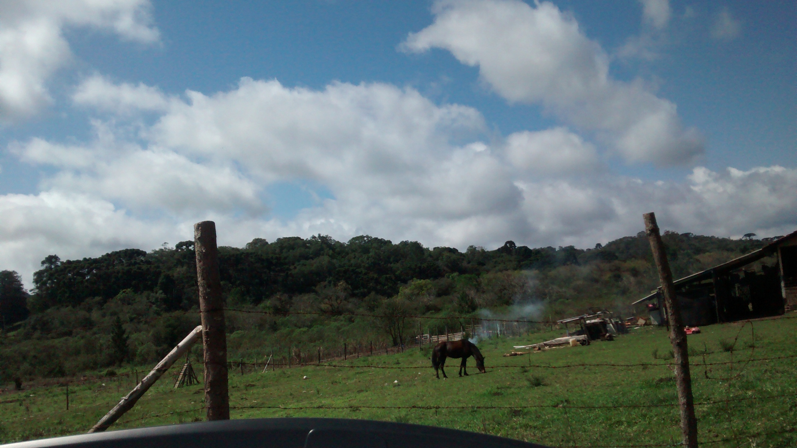 CHÁCARA/FAZENDA/SÍTIO em QUATRO BARRAS PR, no bairro Borda do Campo Referência MCH0025 CHÁCARA/FAZENDA/SÍTIO em QUATRO BARRAS PR, no bairro Borda do Campo Referência MCH0025