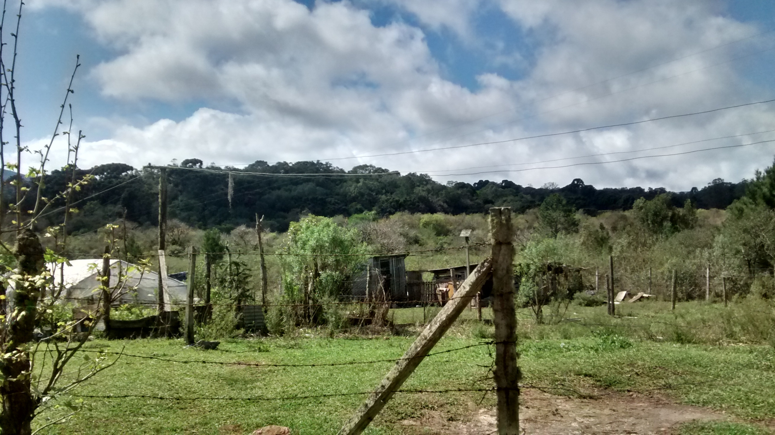 CHÁCARA/FAZENDA/SÍTIO em QUATRO BARRAS PR, no bairro Borda do Campo Referência MCH0025 CHÁCARA/FAZENDA/SÍTIO em QUATRO BARRAS PR, no bairro Borda do Campo Referência MCH0025