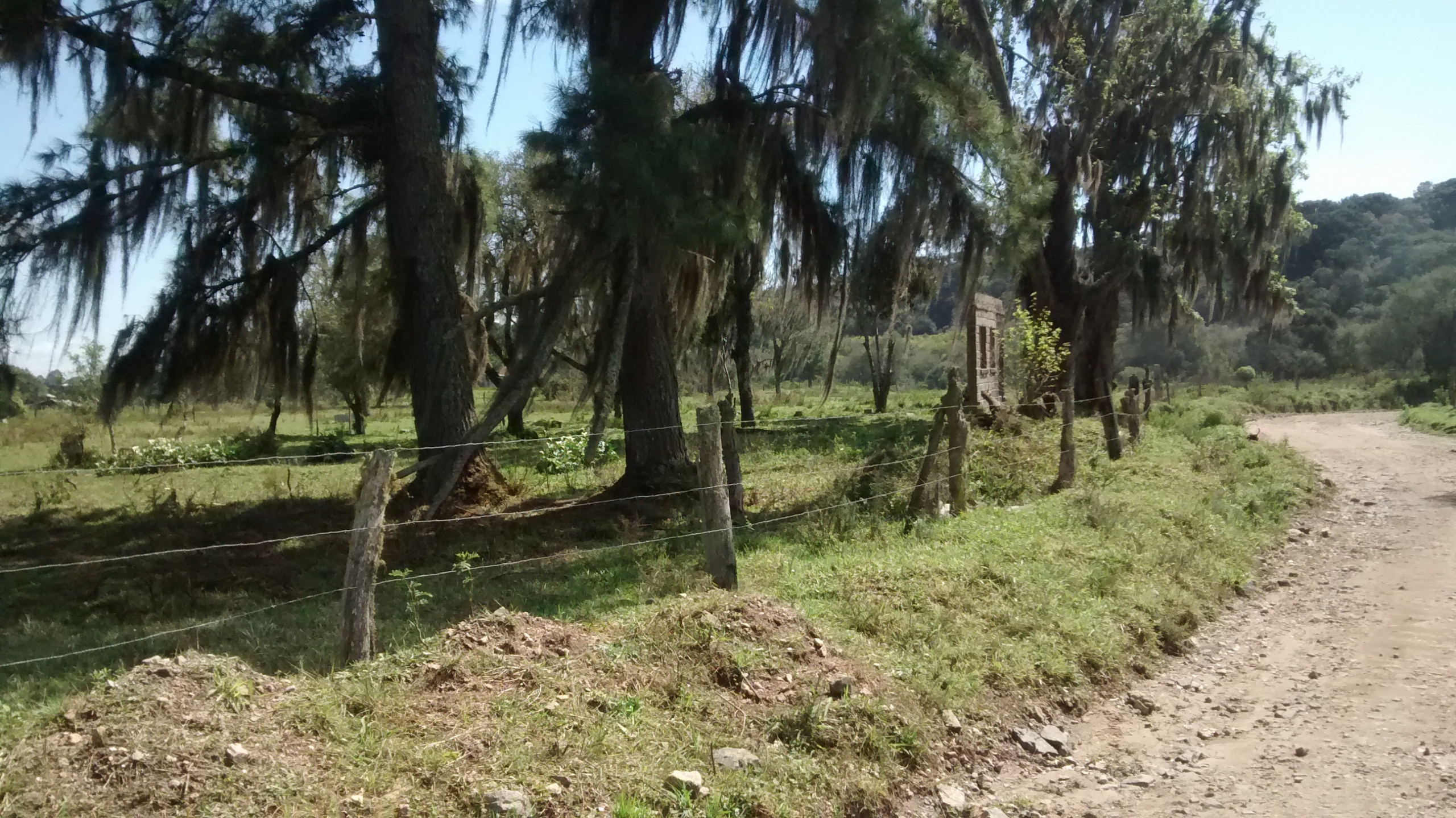 CHÁCARA/FAZENDA/SÍTIO em QUATRO BARRAS PR, no bairro Borda do Campo Referência MCH0025 CHÁCARA/FAZENDA/SÍTIO em QUATRO BARRAS PR, no bairro Borda do Campo Referência MCH0025